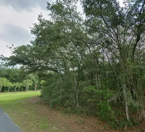 1449 E Wedgewood Lane Hernando FL 34442
