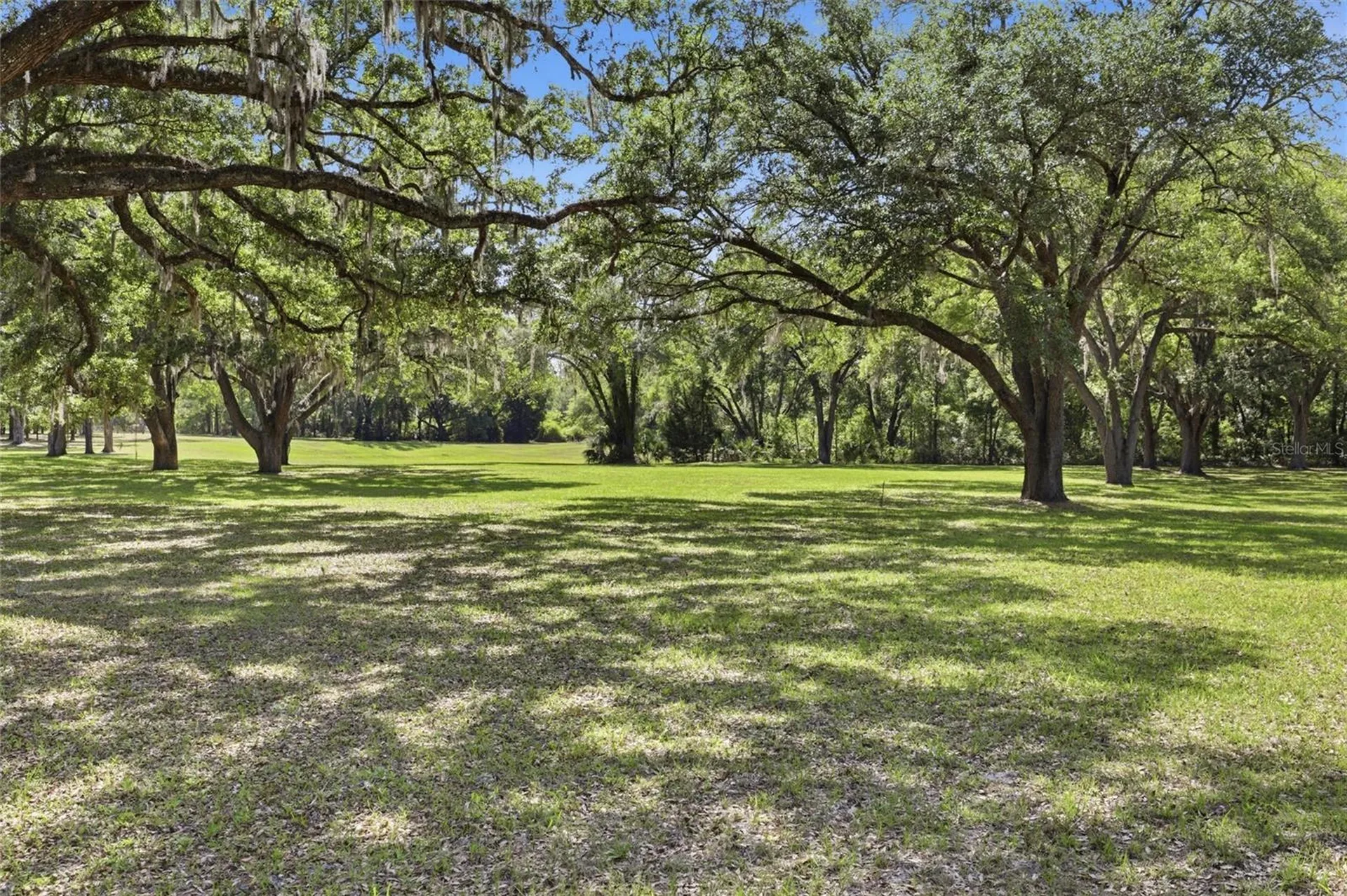 818 NE 783 Street Old Town FL 32680