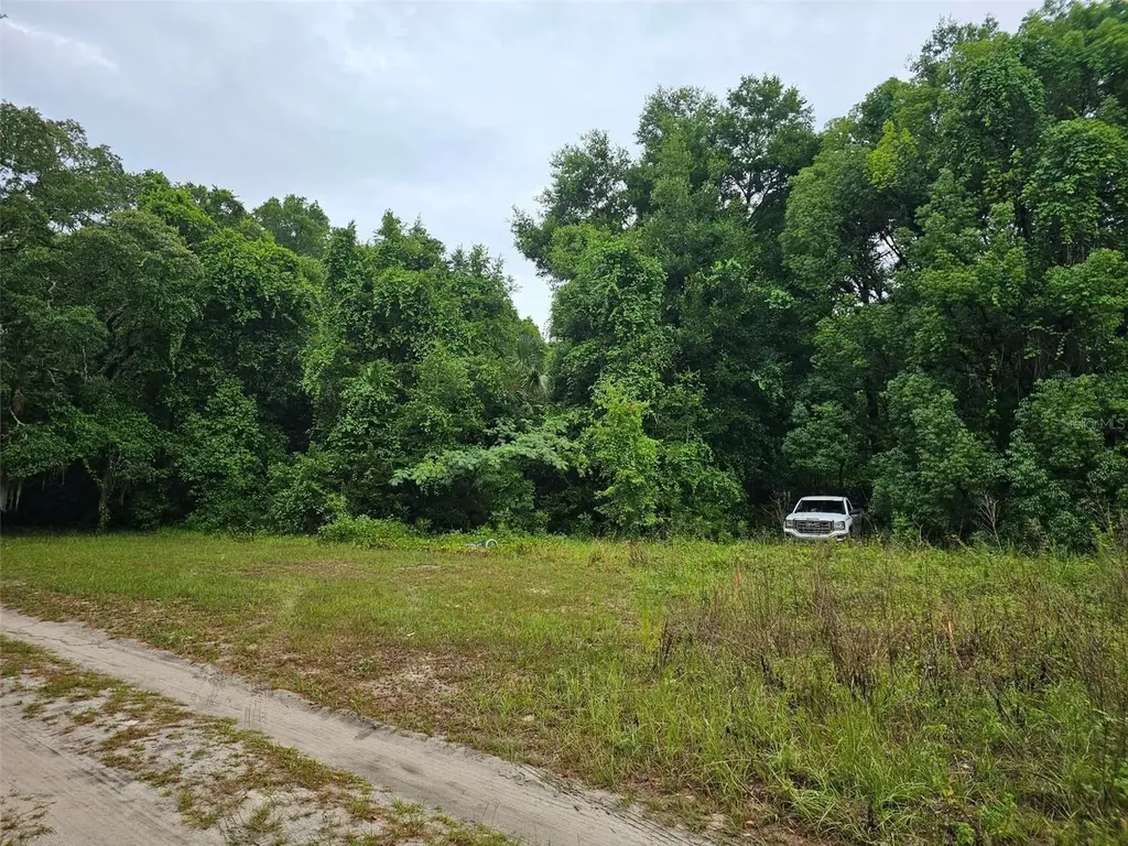 SE 140th Terrace Ocklawaha FL 32179