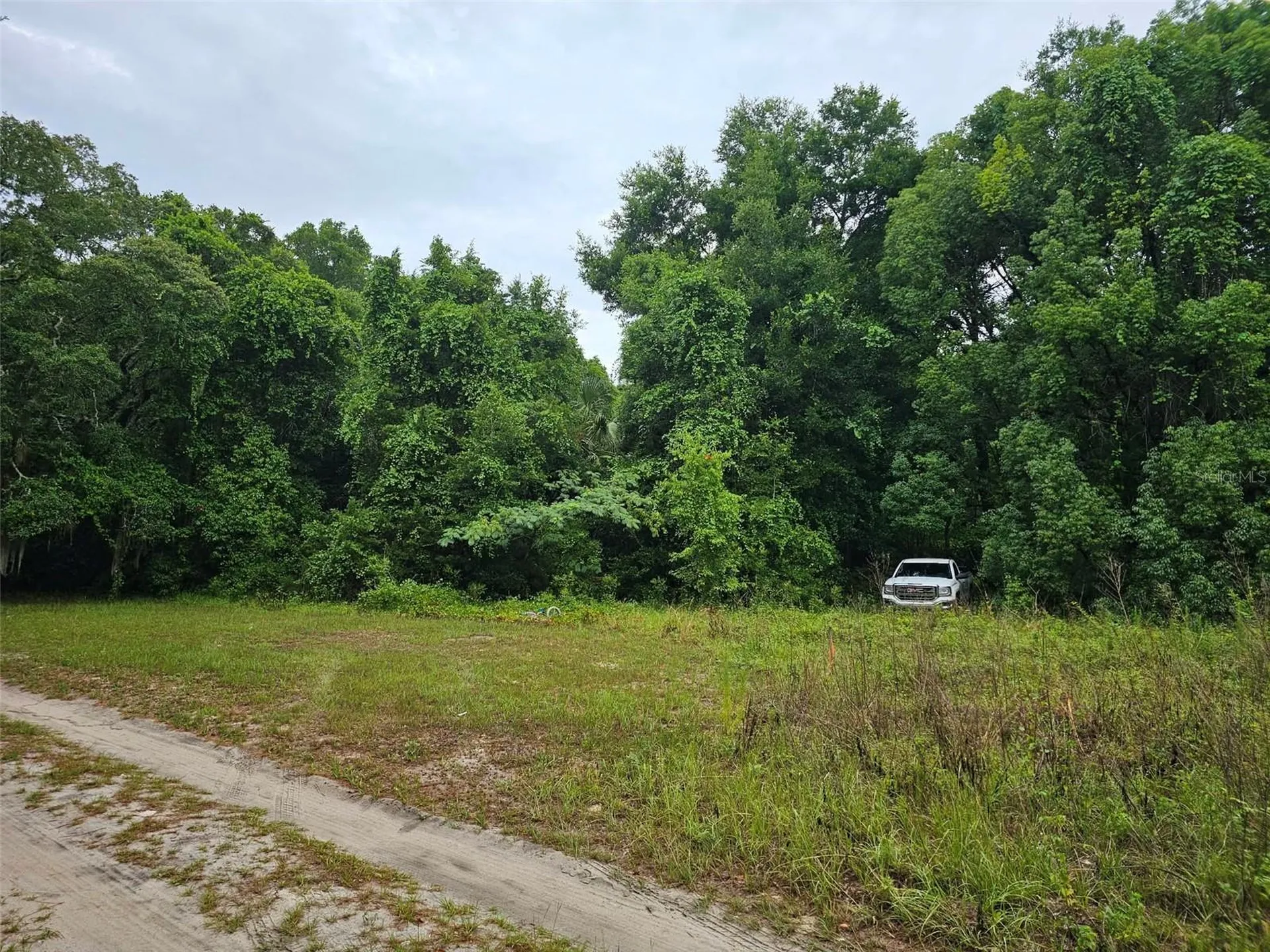 SE 140th Terrace Ocklawaha FL 32179