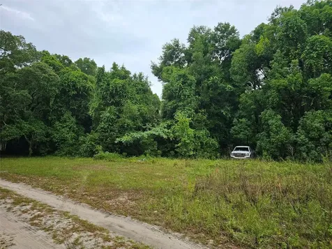 SE 140th Terrace Ocklawaha FL 32179