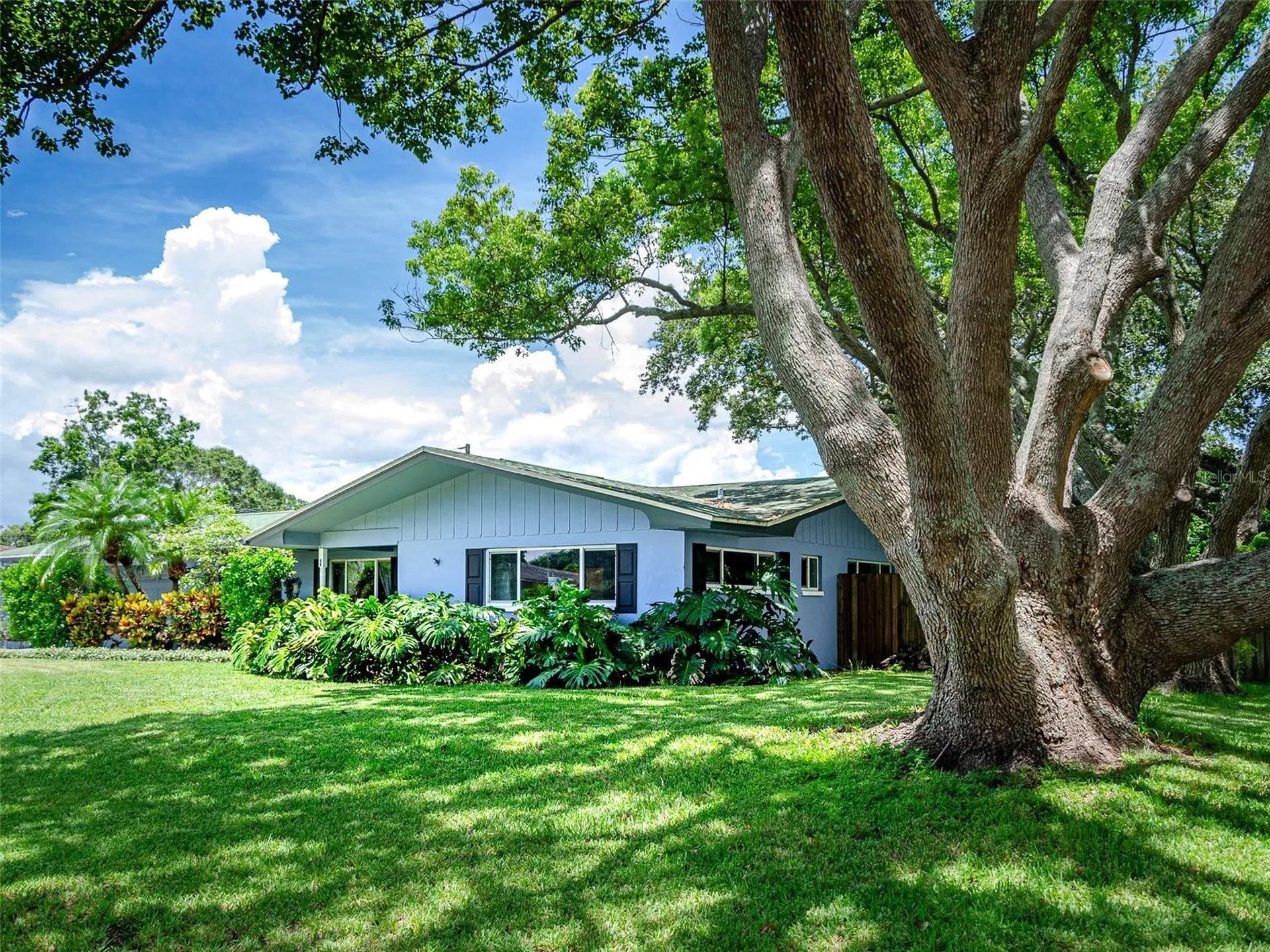 1 Maplewood Avenue Clearwater FL 33765