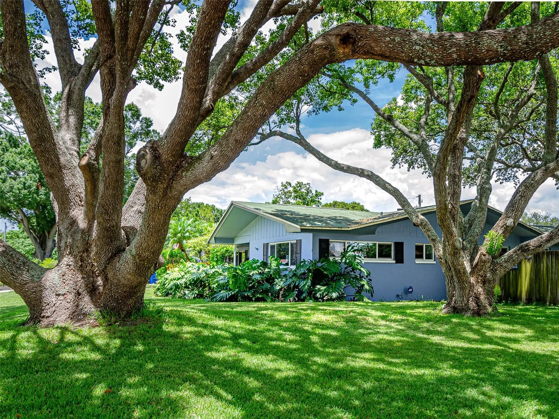 1 Maplewood Avenue Clearwater FL 33765