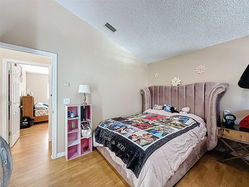 13002 Saint Filagree Drive Riverview FL 33579