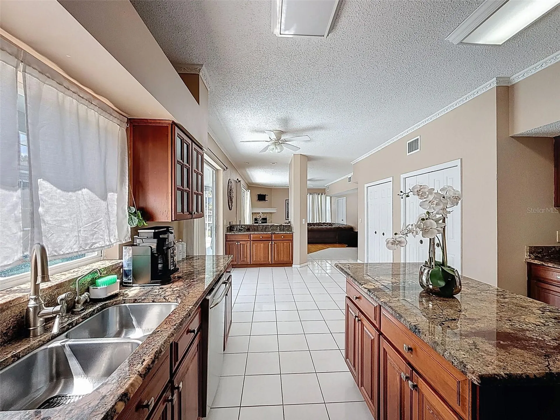 13002 Saint Filagree Drive Riverview FL 33579