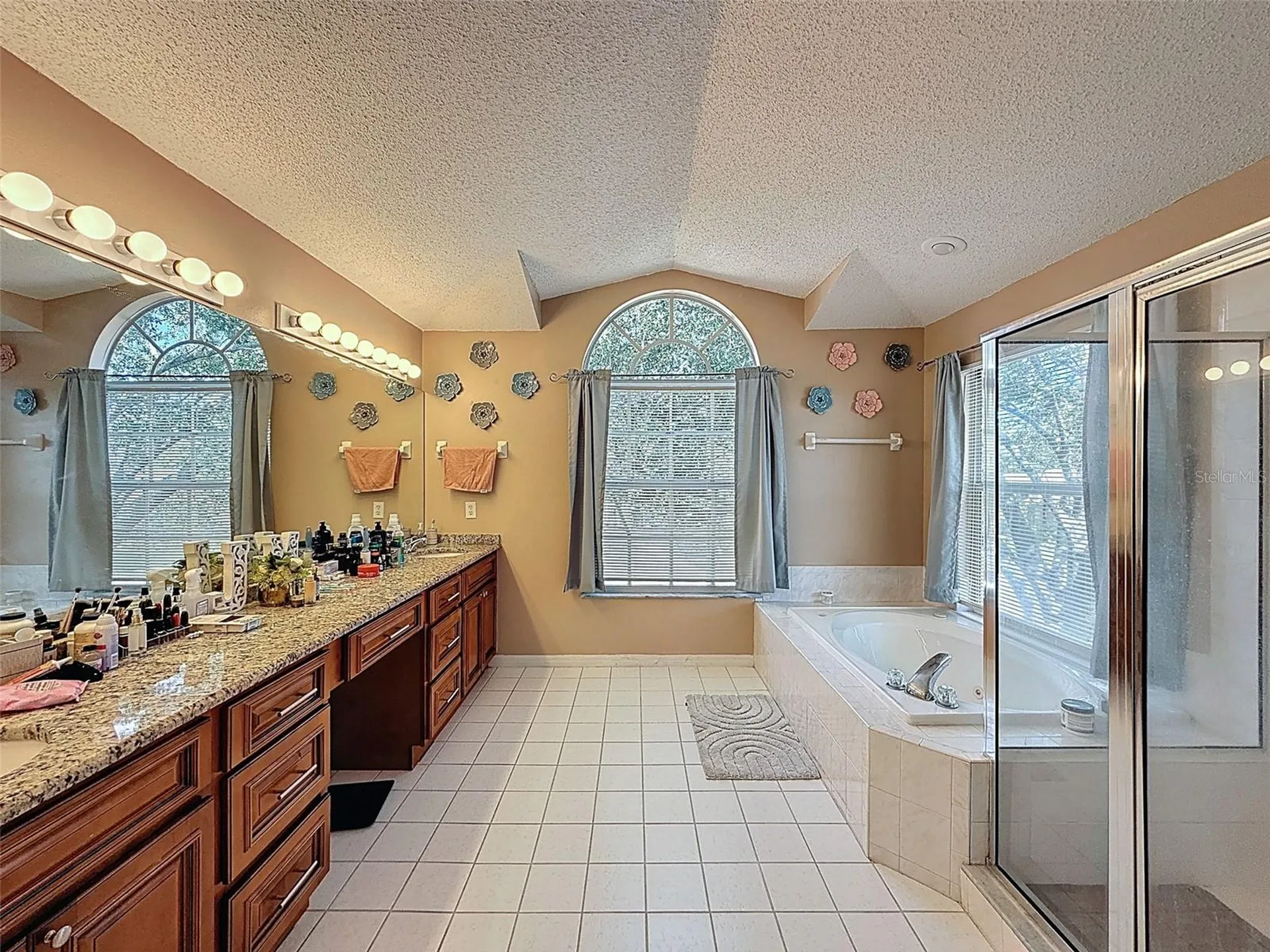 13002 Saint Filagree Drive Riverview FL 33579