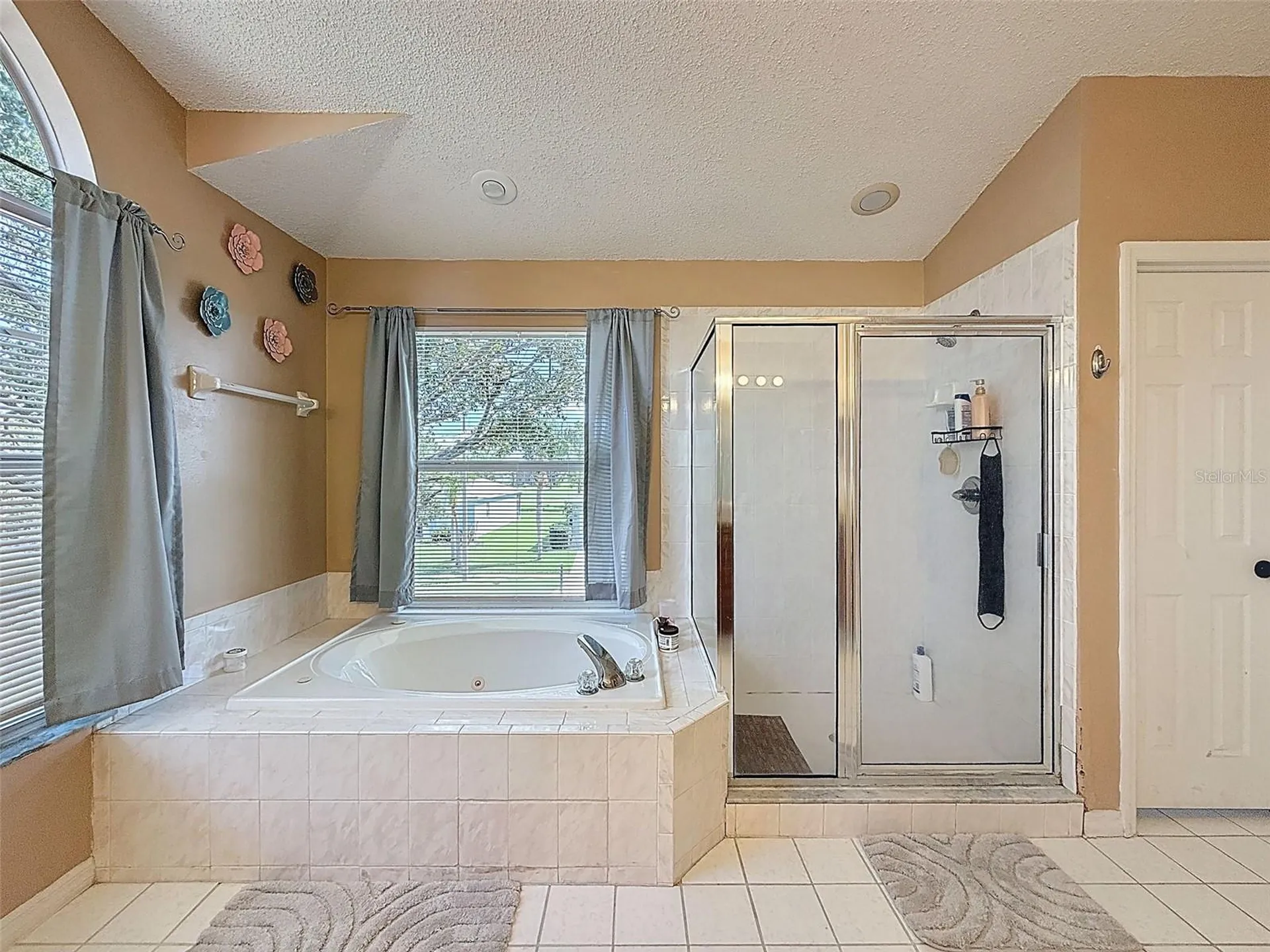 13002 Saint Filagree Drive Riverview FL 33579