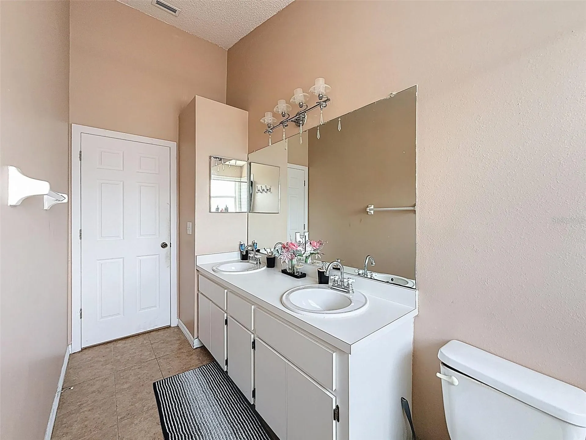 13002 Saint Filagree Drive Riverview FL 33579
