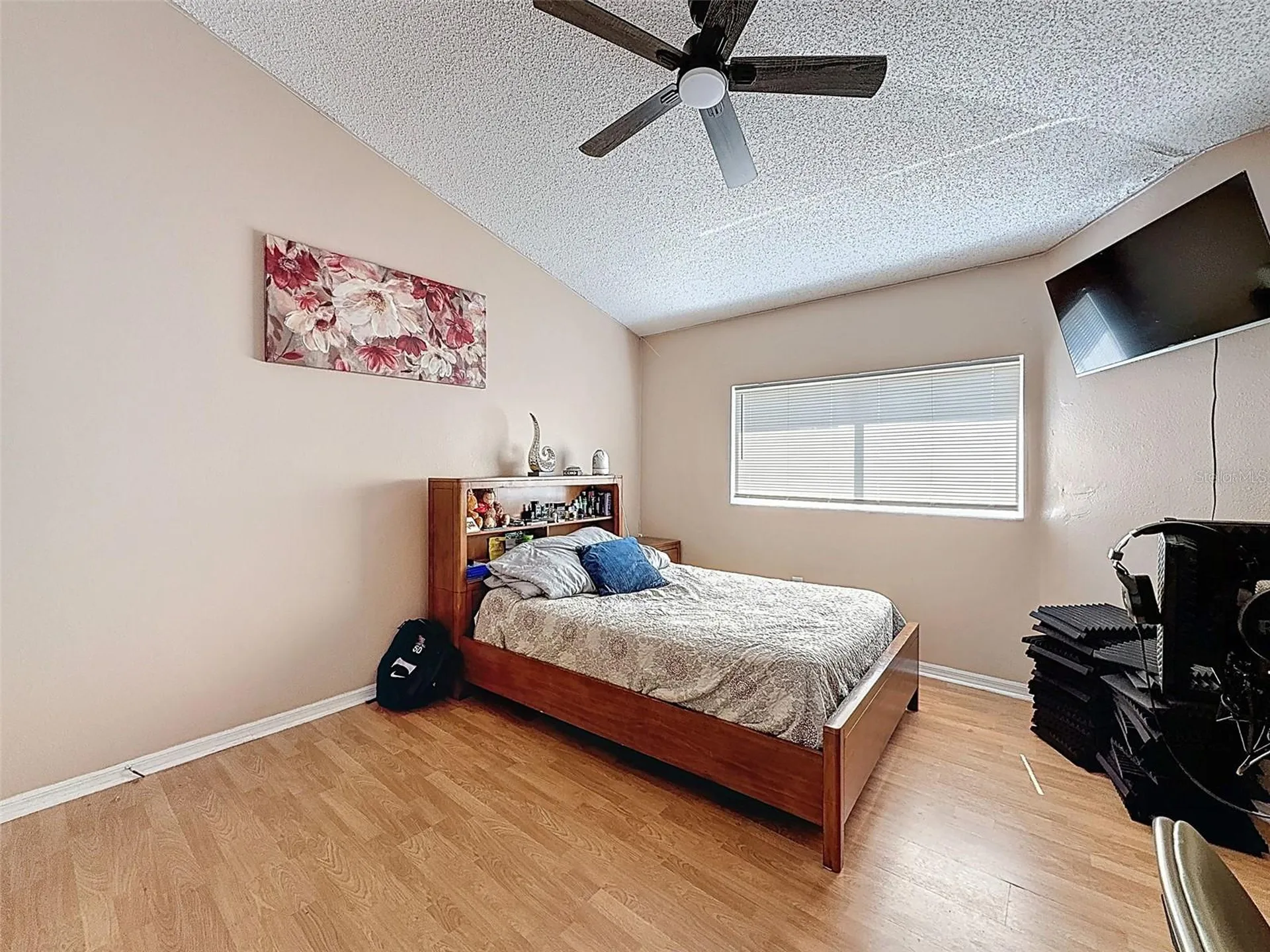 13002 Saint Filagree Drive Riverview FL 33579