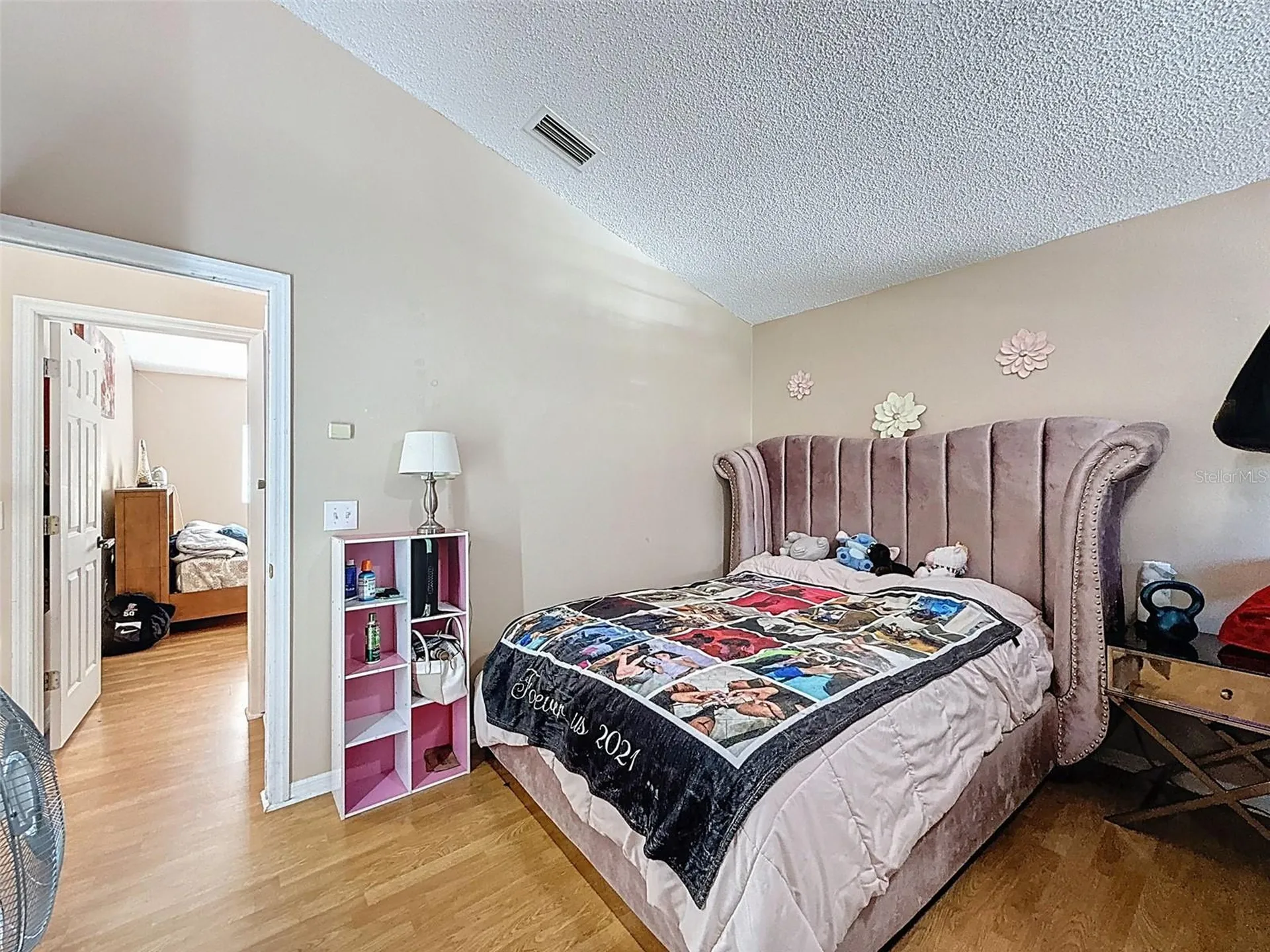 13002 Saint Filagree Drive Riverview FL 33579