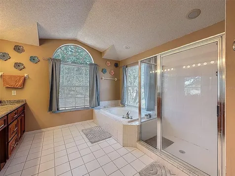 13002 Saint Filagree Drive Riverview FL 33579