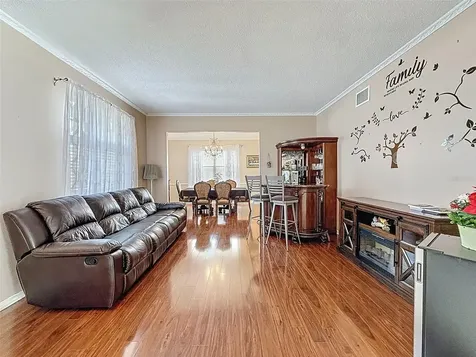 13002 Saint Filagree Drive Riverview FL 33579