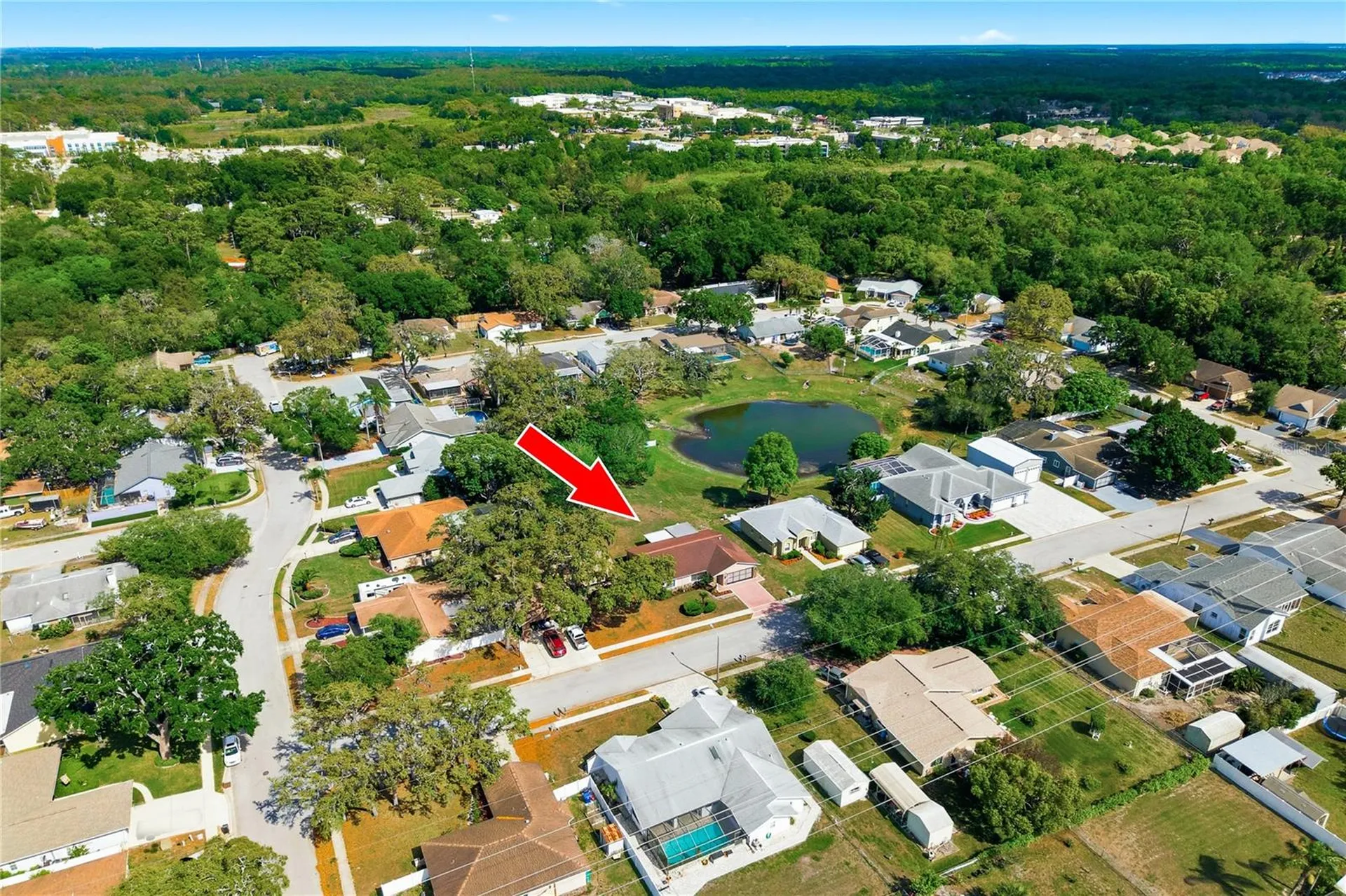 7832 Mcpherson Drive New Port Richey FL 34653