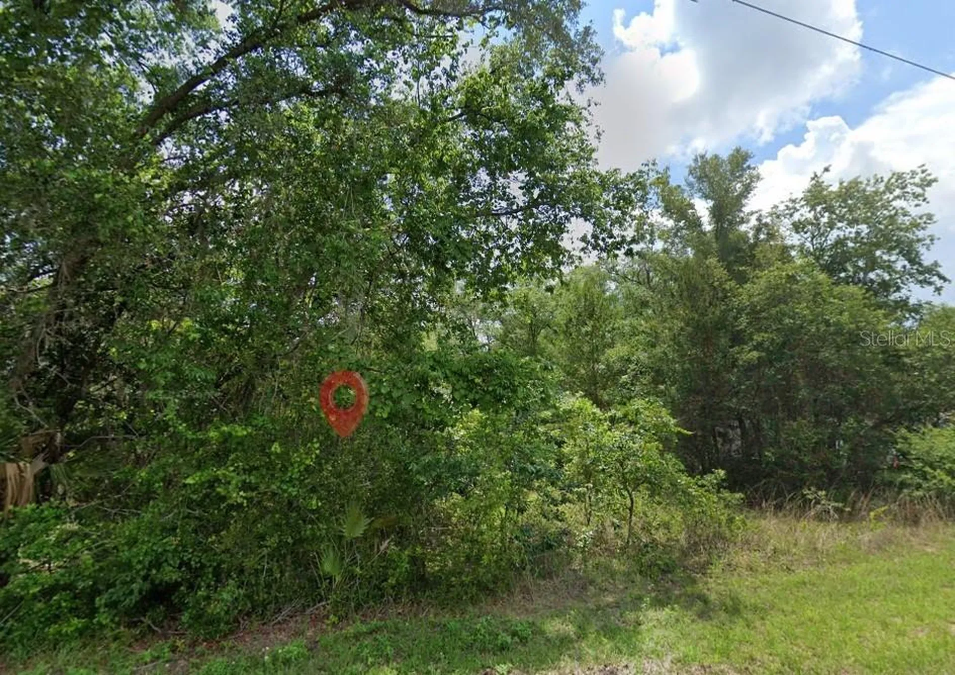 5363 N Redwood Avenue Hernando FL 34442