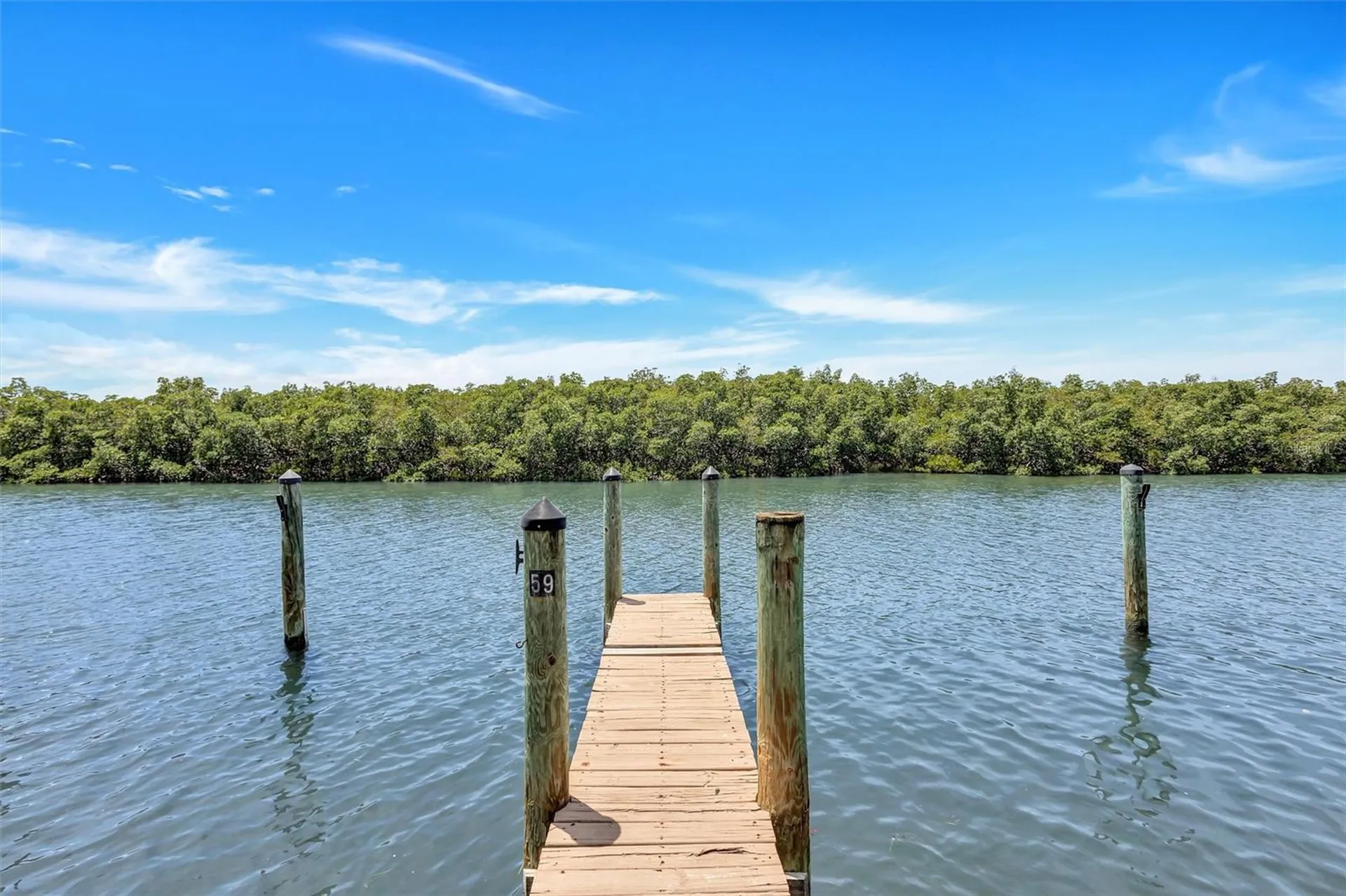 8817 Bay Pointe Drive Tampa FL 33615