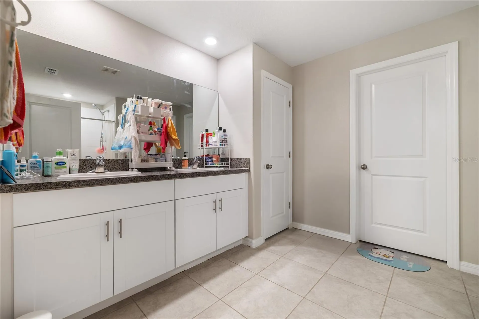 4726 Wild Senna Boulevard Tampa FL 33619