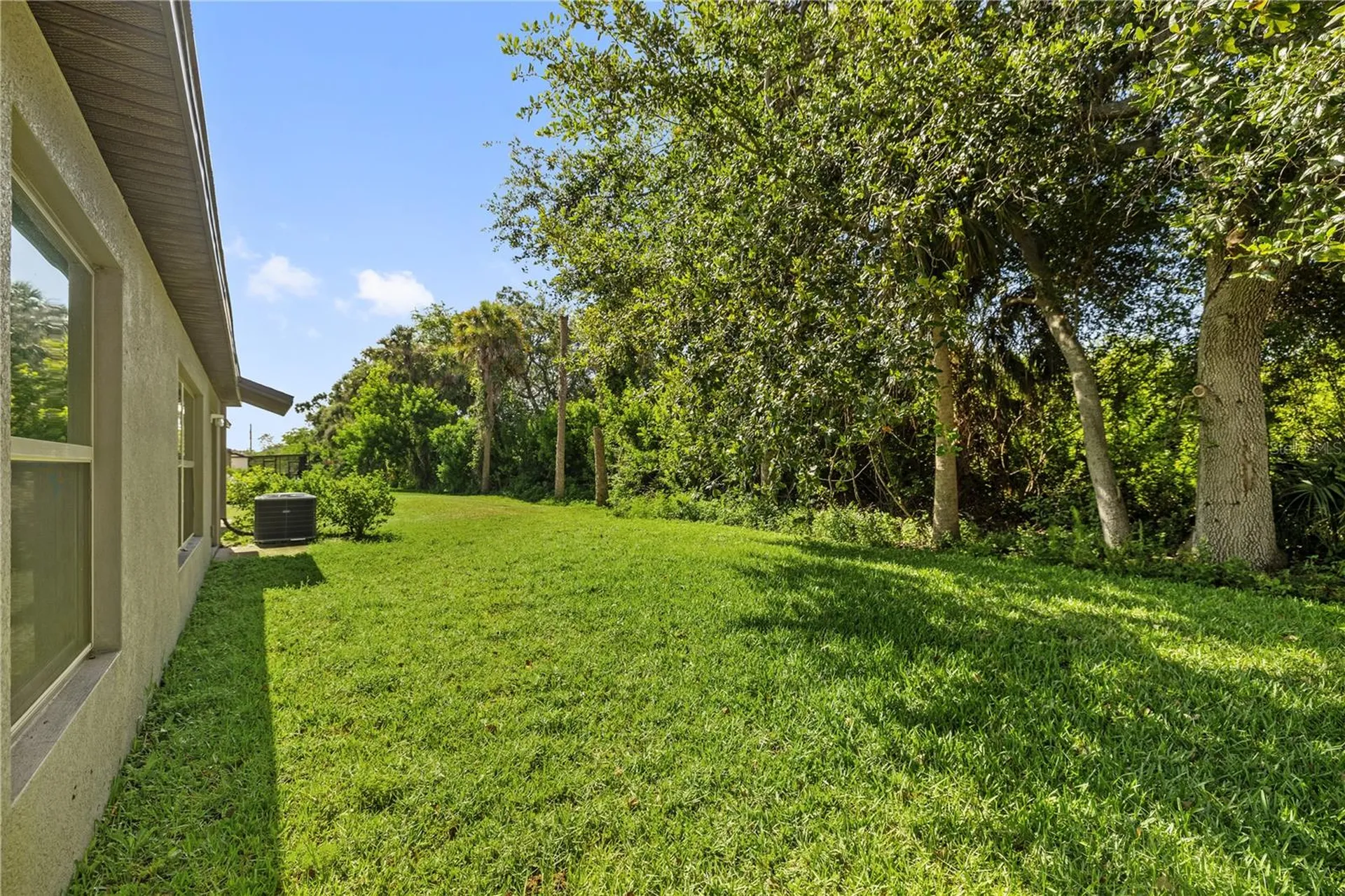 4726 Wild Senna Boulevard Tampa FL 33619