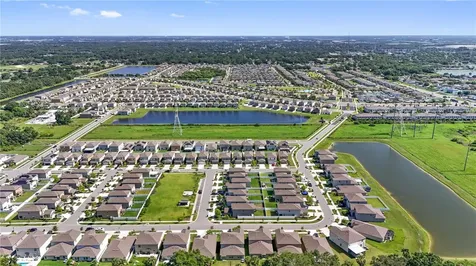 4726 Wild Senna Boulevard Tampa FL 33619