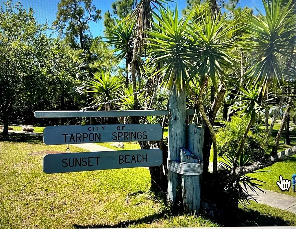 404 Windrush Bay Drive Tarpon Springs FL 34689