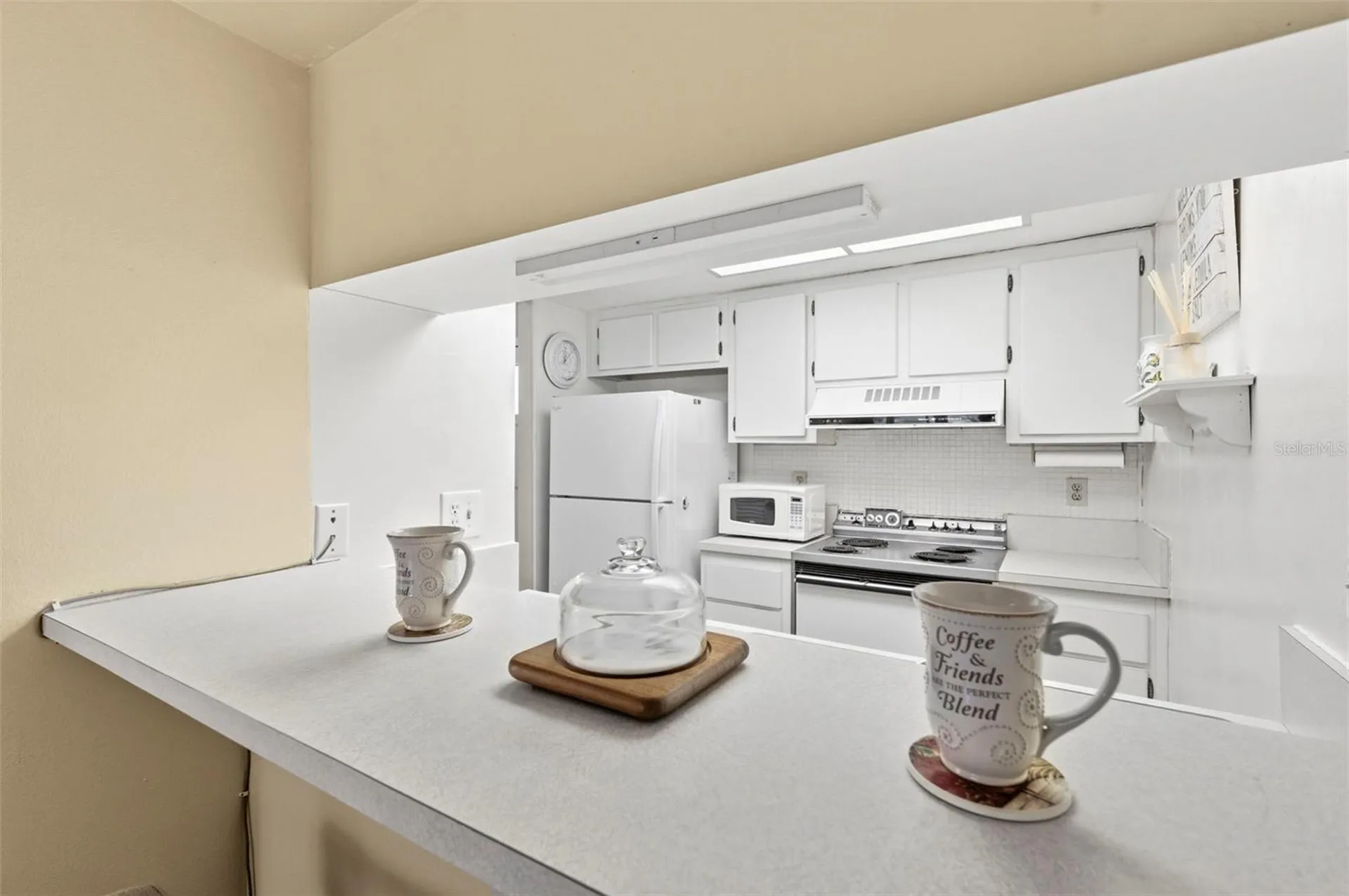 404 Windrush Bay Drive Tarpon Springs FL 34689