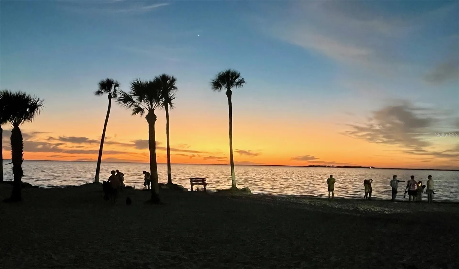 404 Windrush Bay Drive Tarpon Springs FL 34689