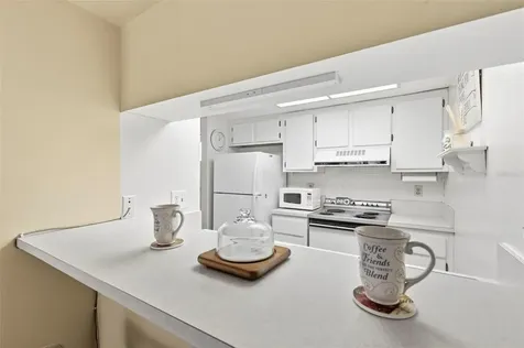 404 Windrush Bay Drive Tarpon Springs FL 34689