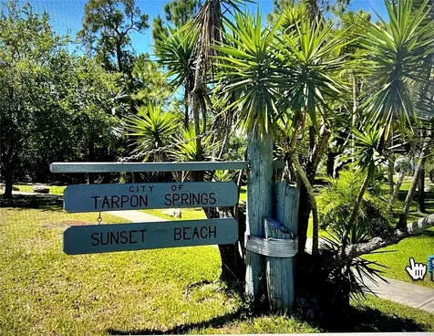 404 Windrush Bay Drive Tarpon Springs FL 34689
