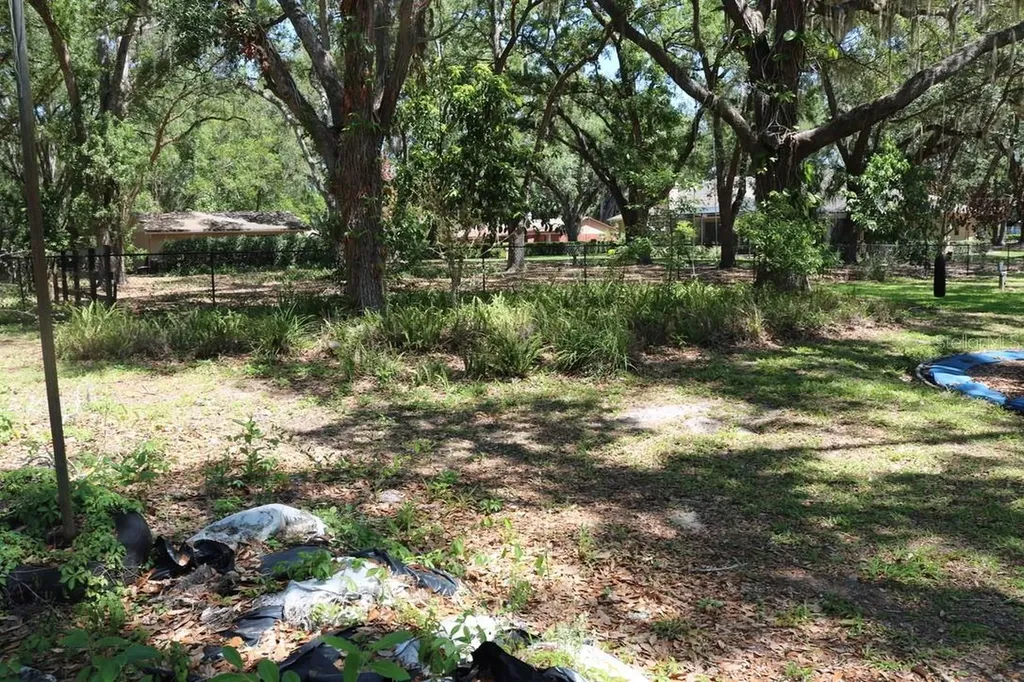 19150 Livingston Avenue Lutz FL 33559
