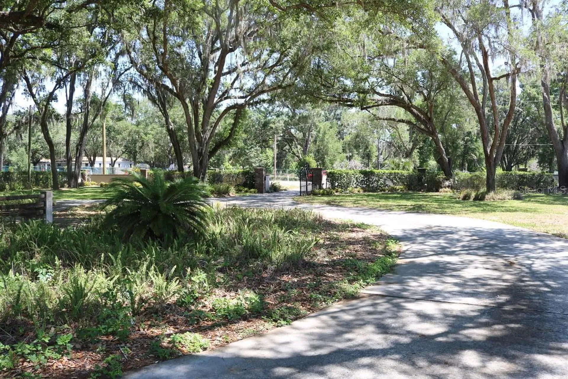 19150 Livingston Avenue Lutz FL 33559