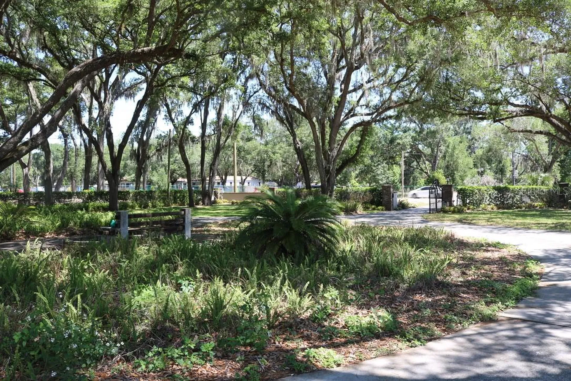 19150 Livingston Avenue Lutz FL 33559