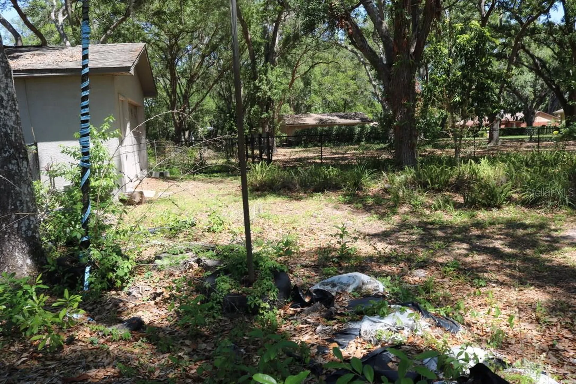 19150 Livingston Avenue Lutz FL 33559
