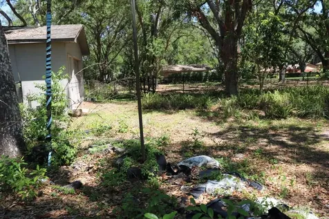 19150 Livingston Avenue Lutz FL 33559