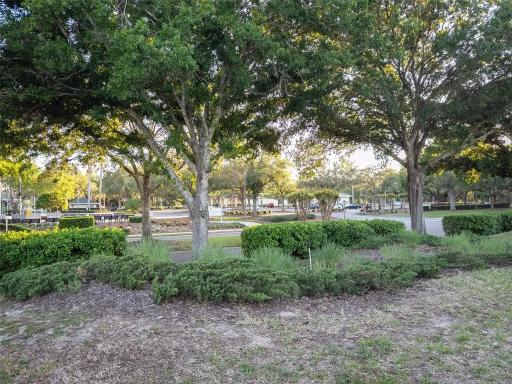 9593 SE 124th Loop Summerfield FL 34491