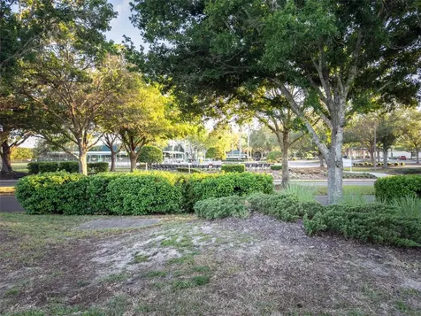 9593 SE 124th Loop Summerfield FL 34491