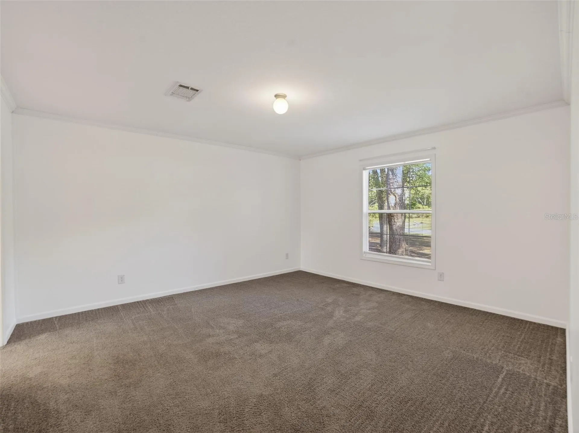 34938 Punch Road Dade City FL 33523