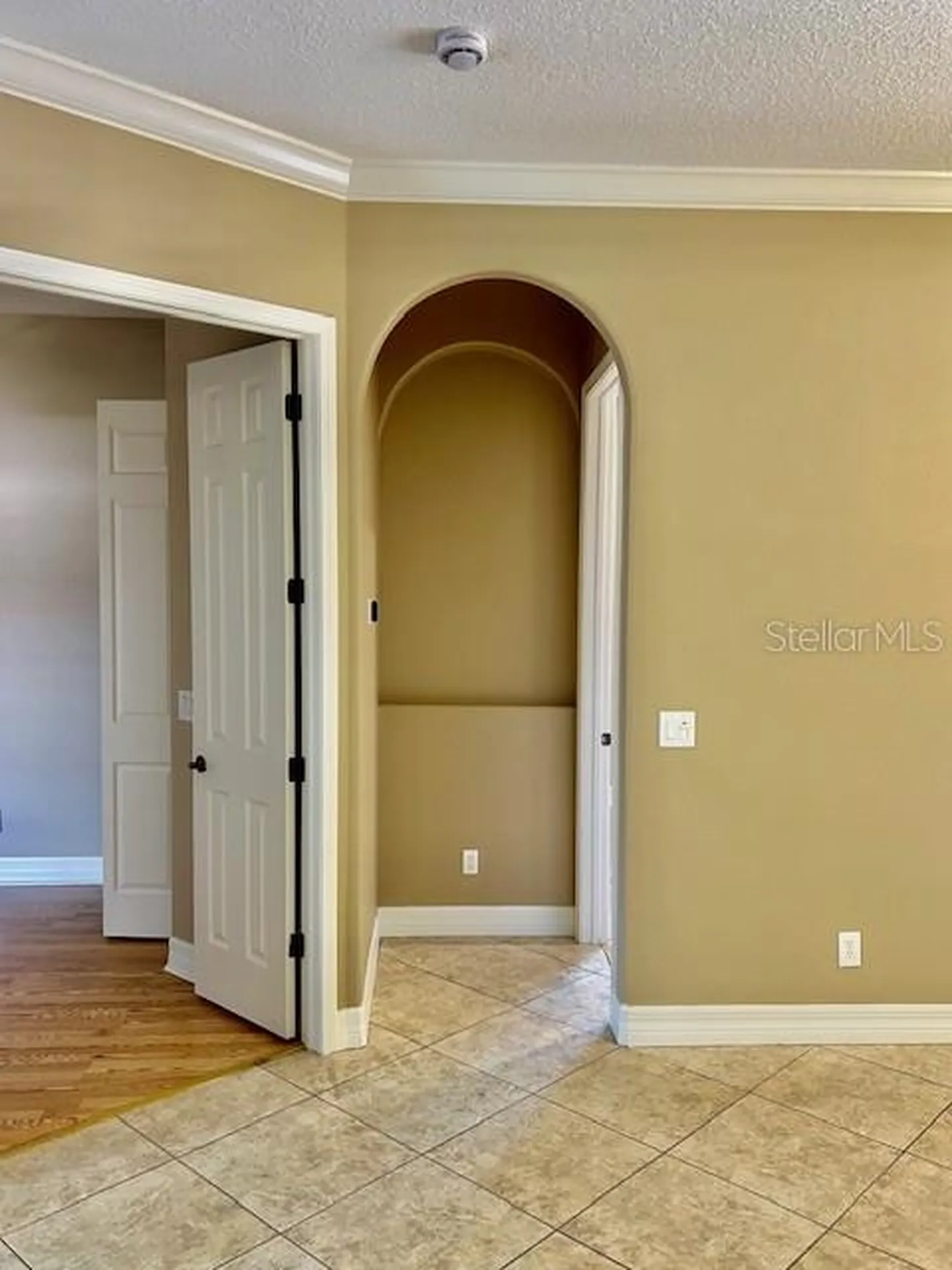 22444 Oakville Drive Land O Lakes FL 34639