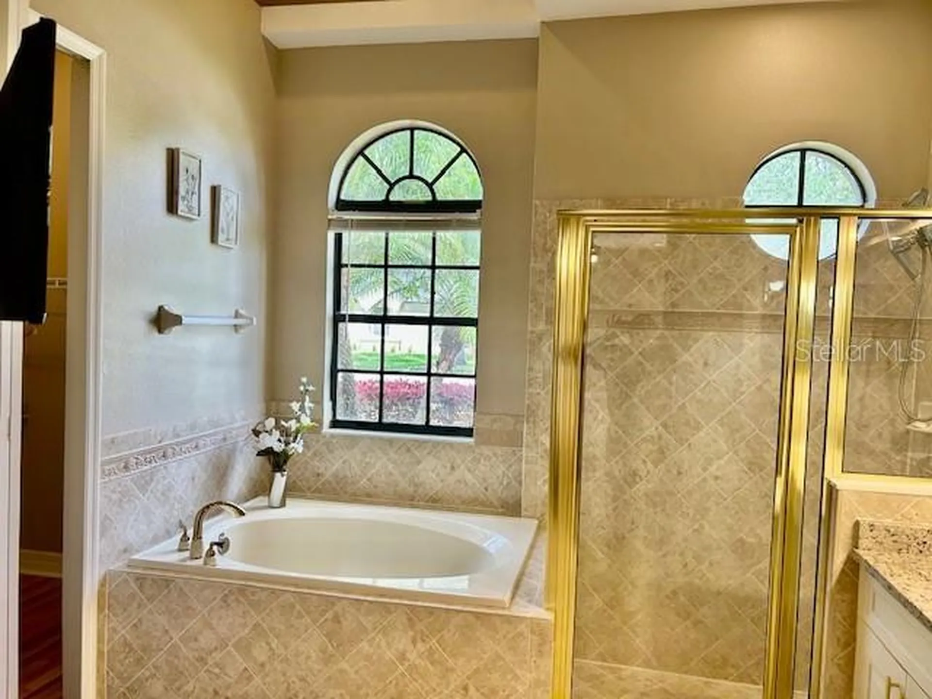 22444 Oakville Drive Land O Lakes FL 34639