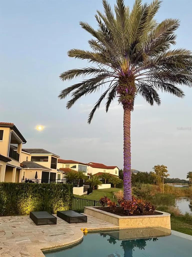15555 Panther Lake Drive Winter Garden FL 34787