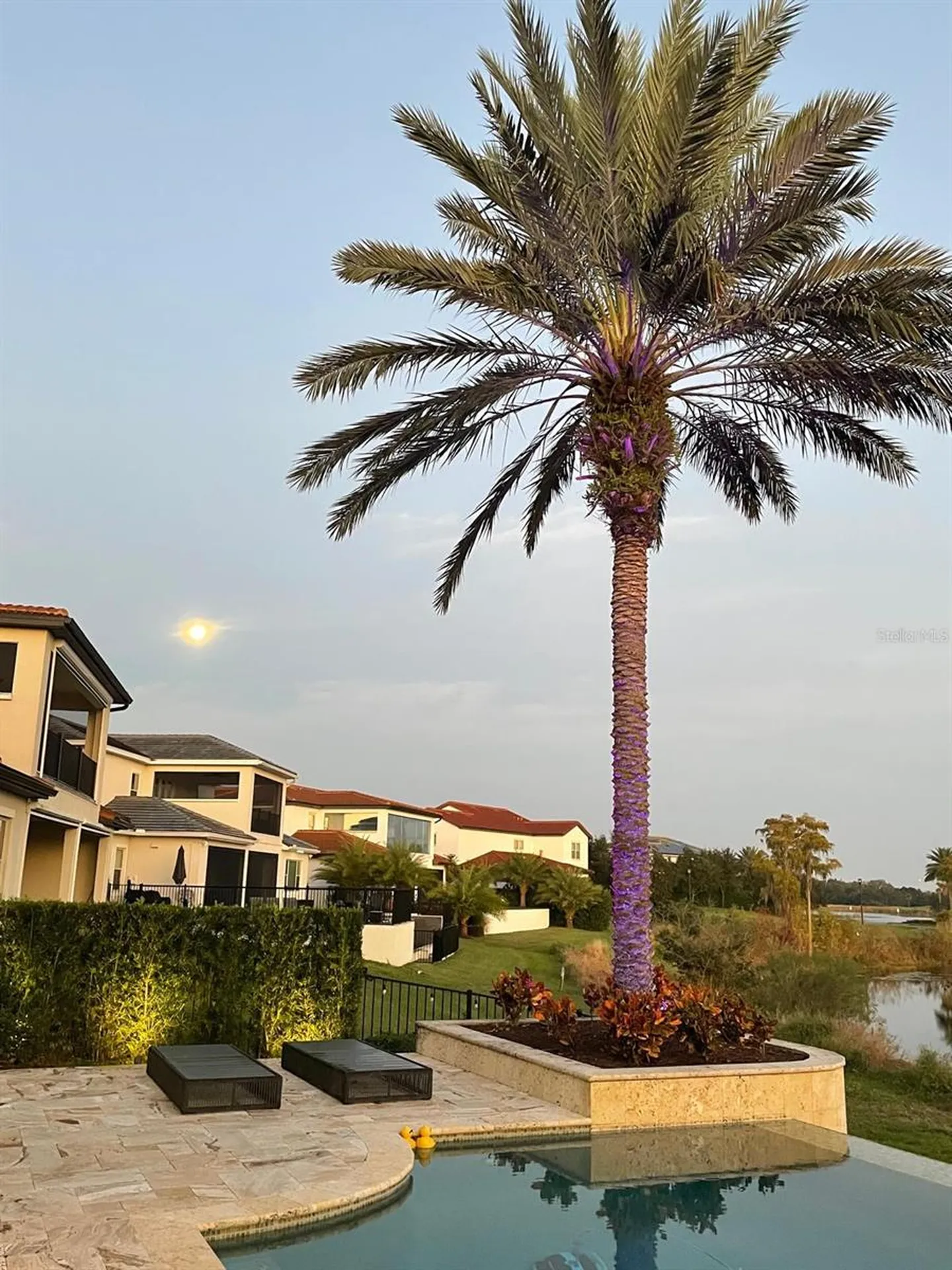 15555 Panther Lake Drive Winter Garden FL 34787