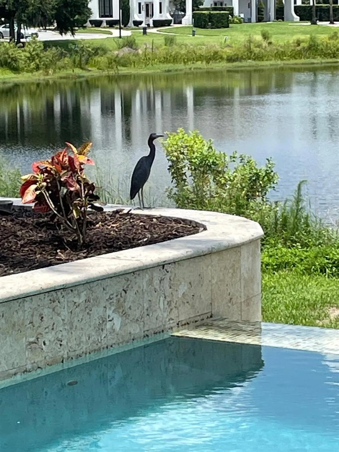 15555 Panther Lake Drive Winter Garden FL 34787