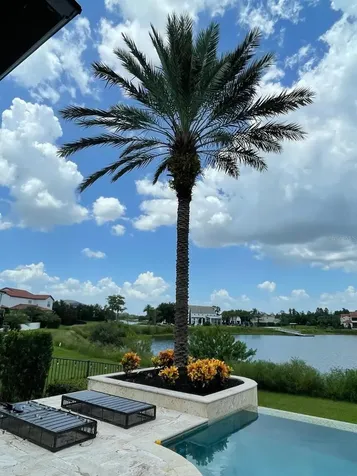 15555 Panther Lake Drive Winter Garden FL 34787