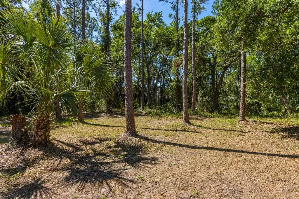 12814 Twin Branch Acres Road Tampa FL 33626