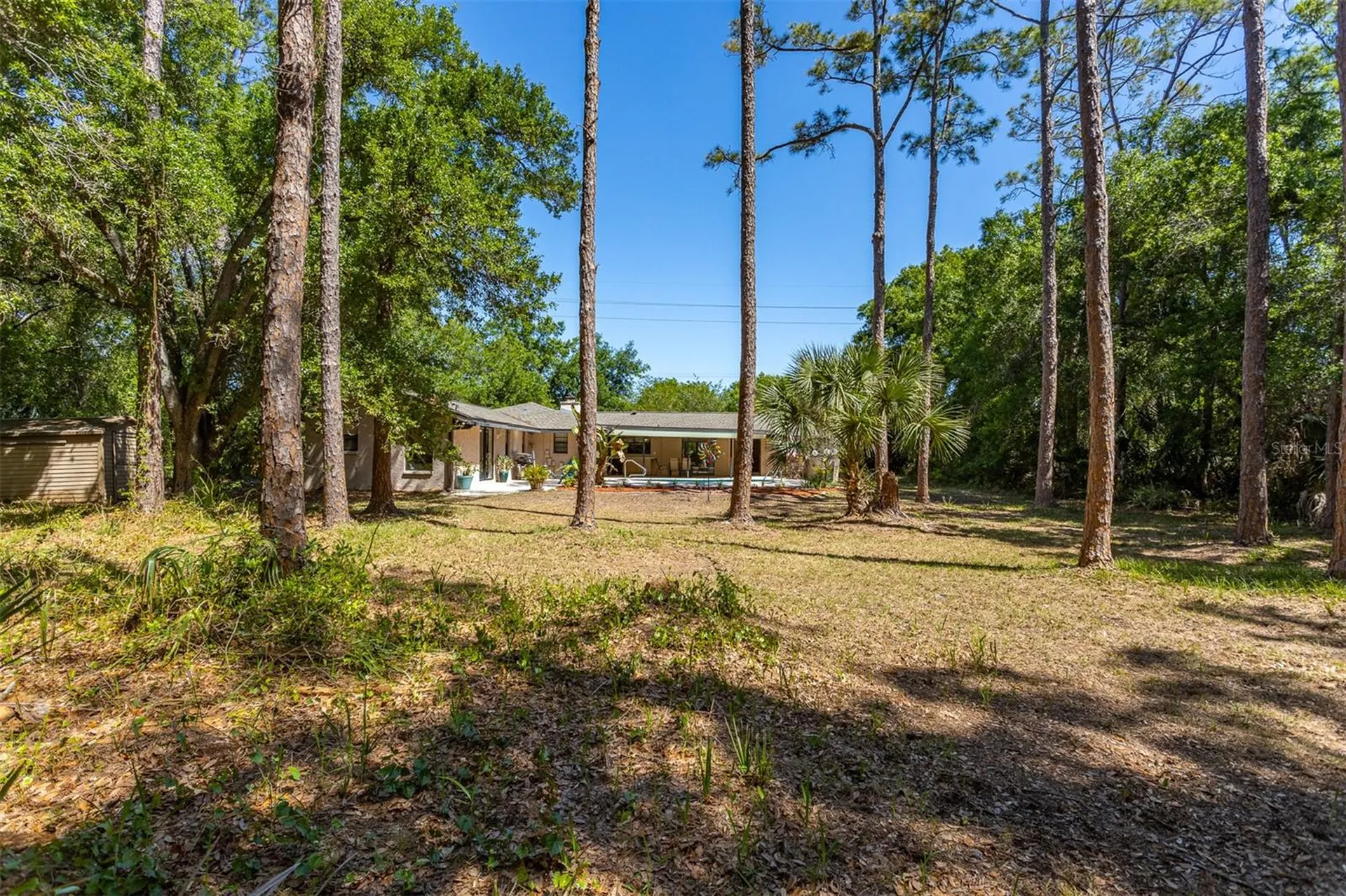 12814 Twin Branch Acres Road Tampa FL 33626