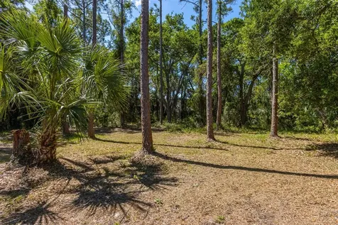 12814 Twin Branch Acres Road Tampa FL 33626