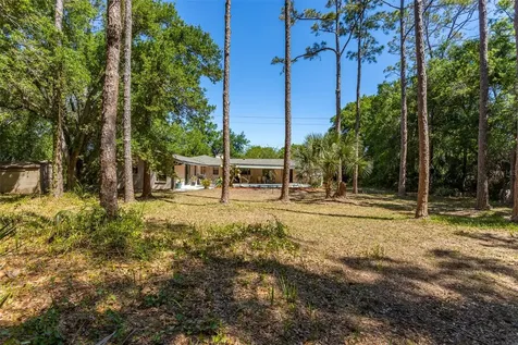 12814 Twin Branch Acres Road Tampa FL 33626