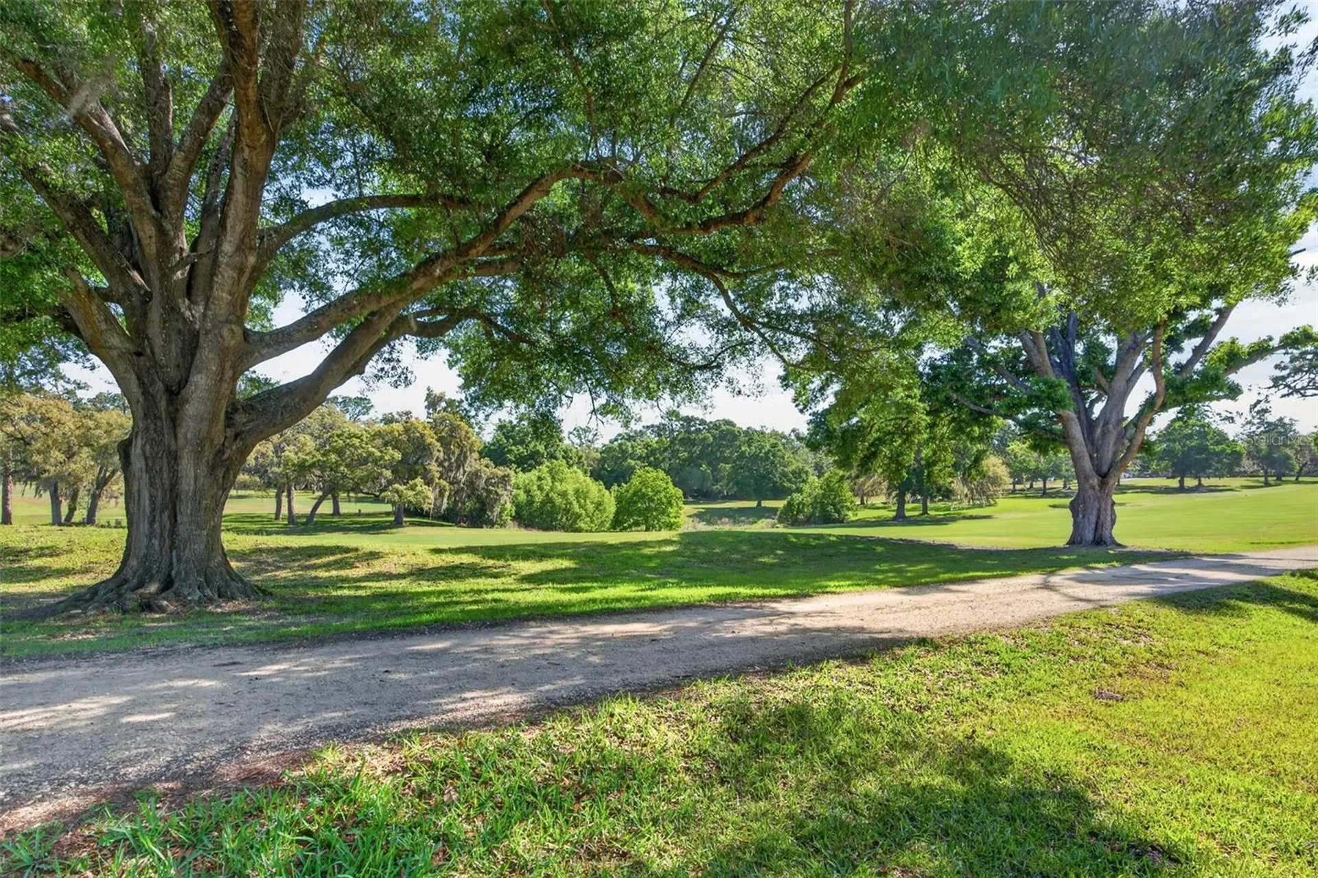 2393 W Fairway Loop Citrus Springs FL 34434