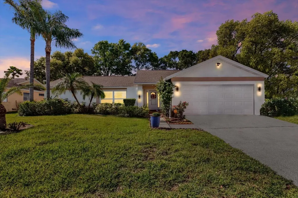 9806 Didrikson Drive New Port Richey FL 34655