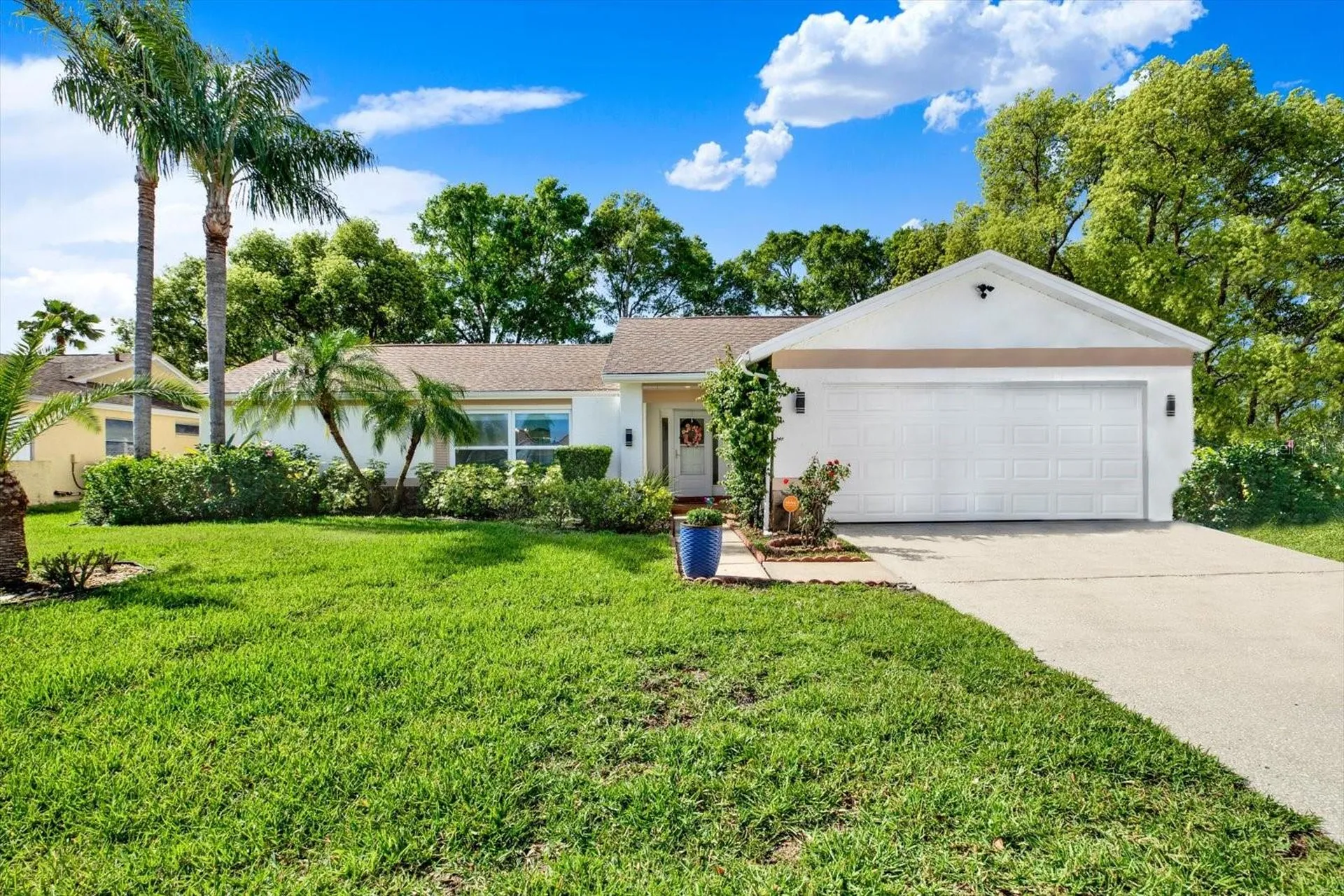 9806 Didrikson Drive New Port Richey FL 34655