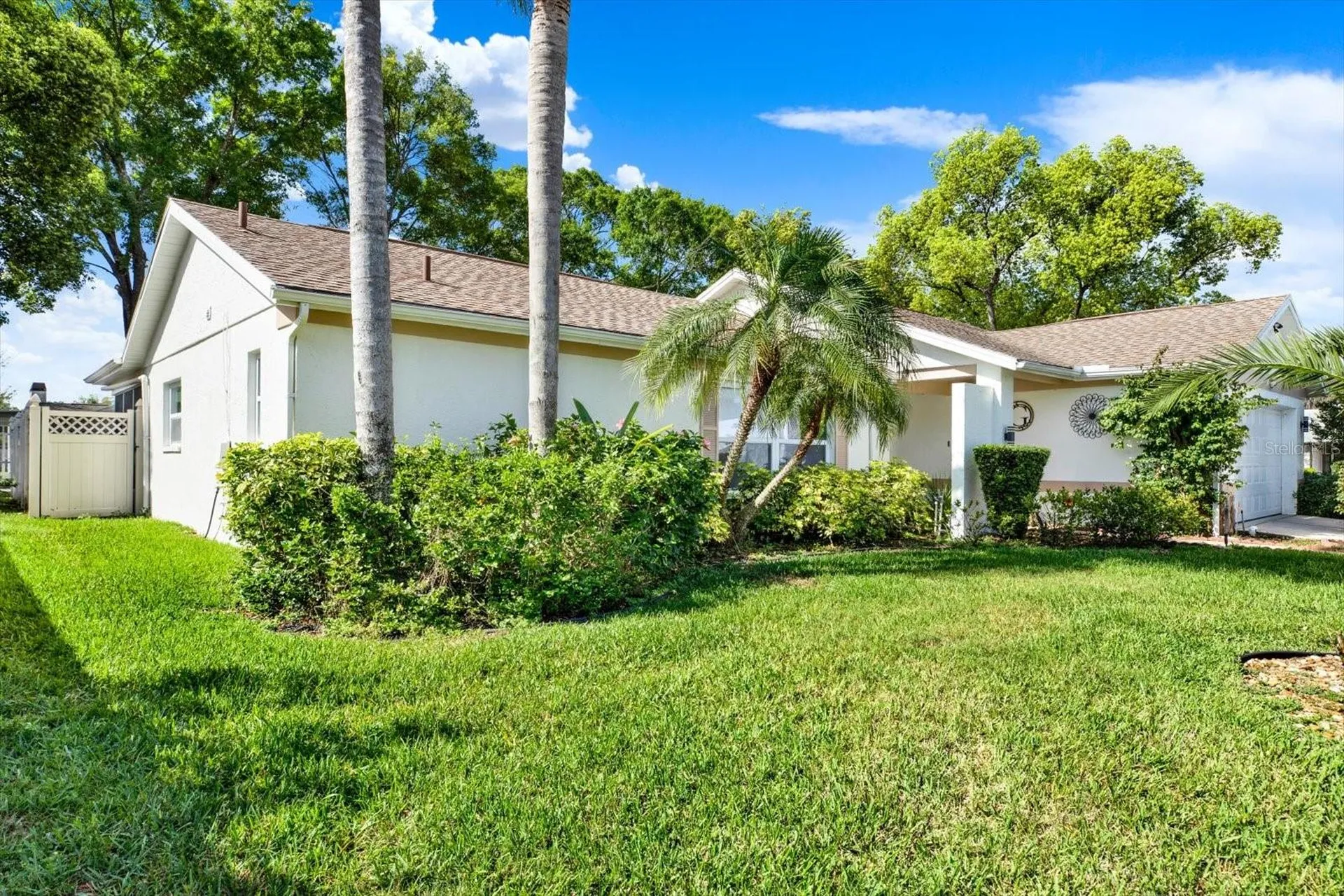 9806 Didrikson Drive New Port Richey FL 34655