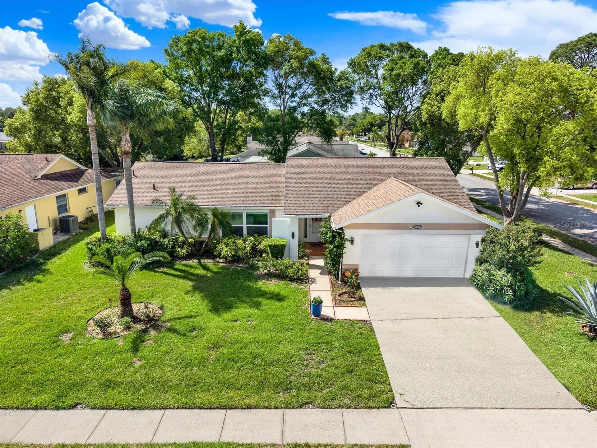 9806 Didrikson Drive New Port Richey FL 34655